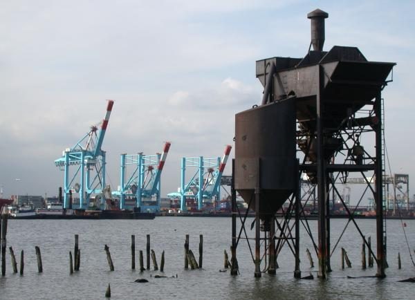 Port cranes and container terminal across the water